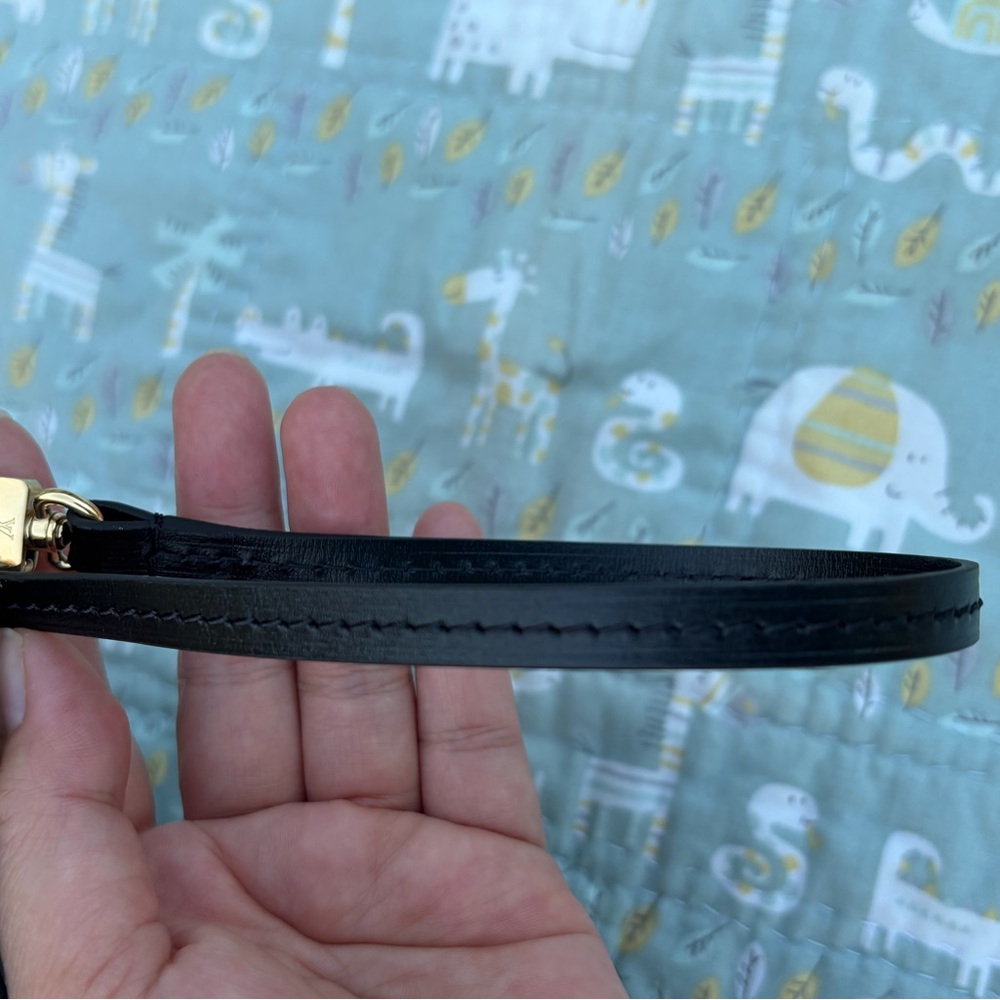 Louis Vuitton Limited Edition Neverfull MM Pouch - Picture 13 of 14